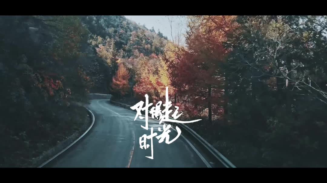 ���ֻ��������ߵ���