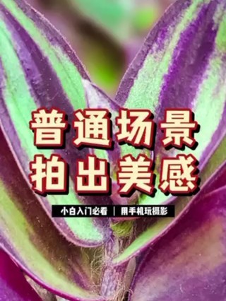 ���ֻ��������ߵ���
