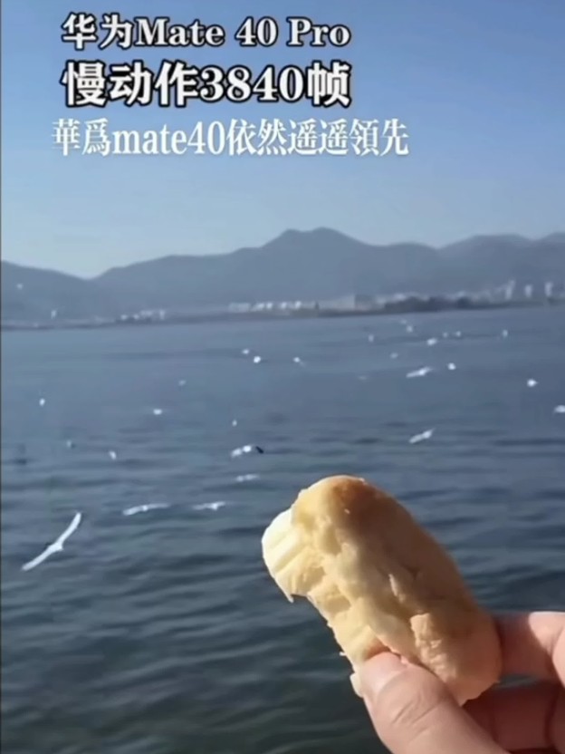 ��ΪMate 60 Pro