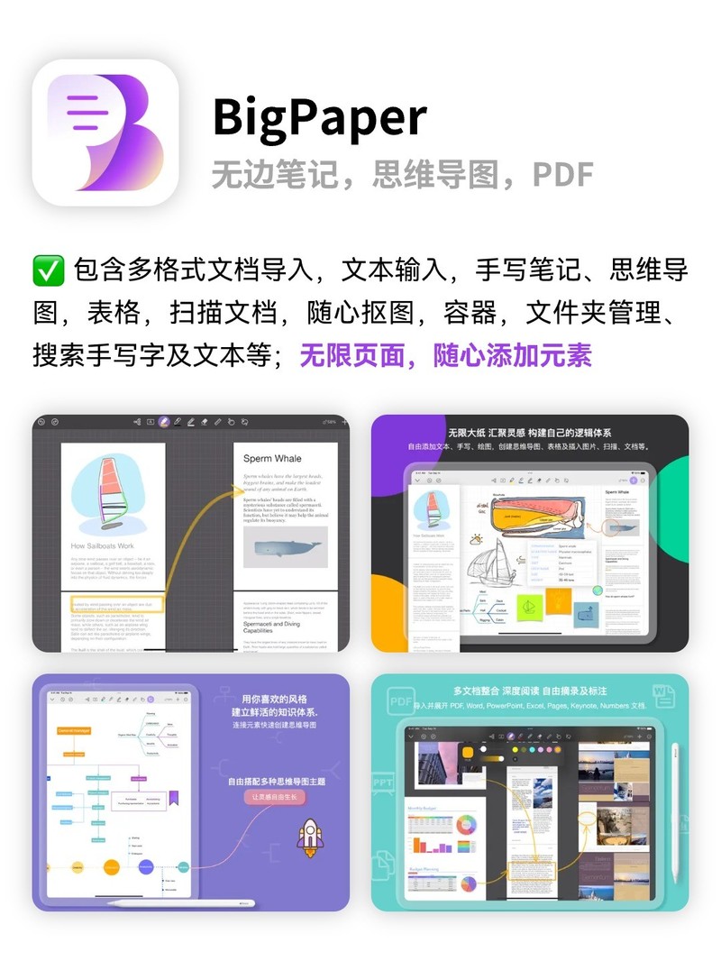 APP
