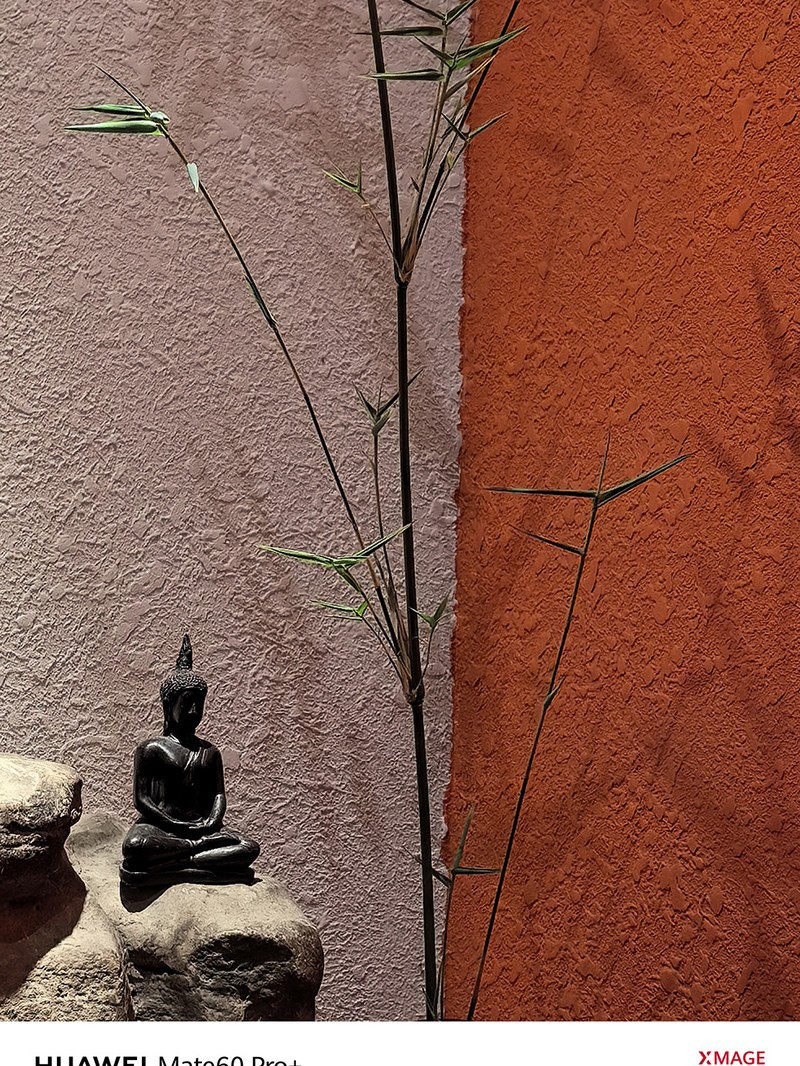��ΪMate 60