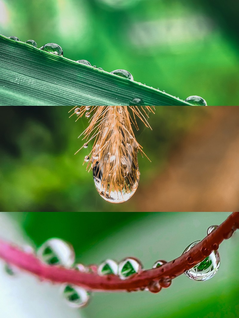 Ӳ�����3��Ļ�Ϊ�ֻ�Ҳ���ĳ�רҵӰ��