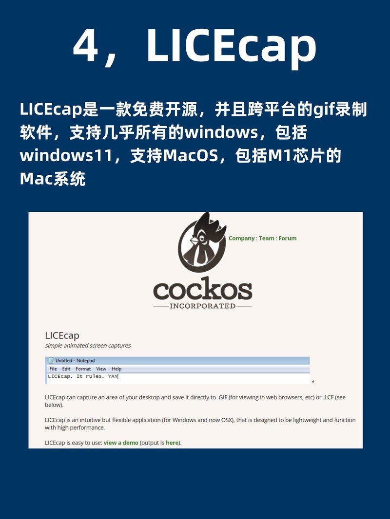 APP
