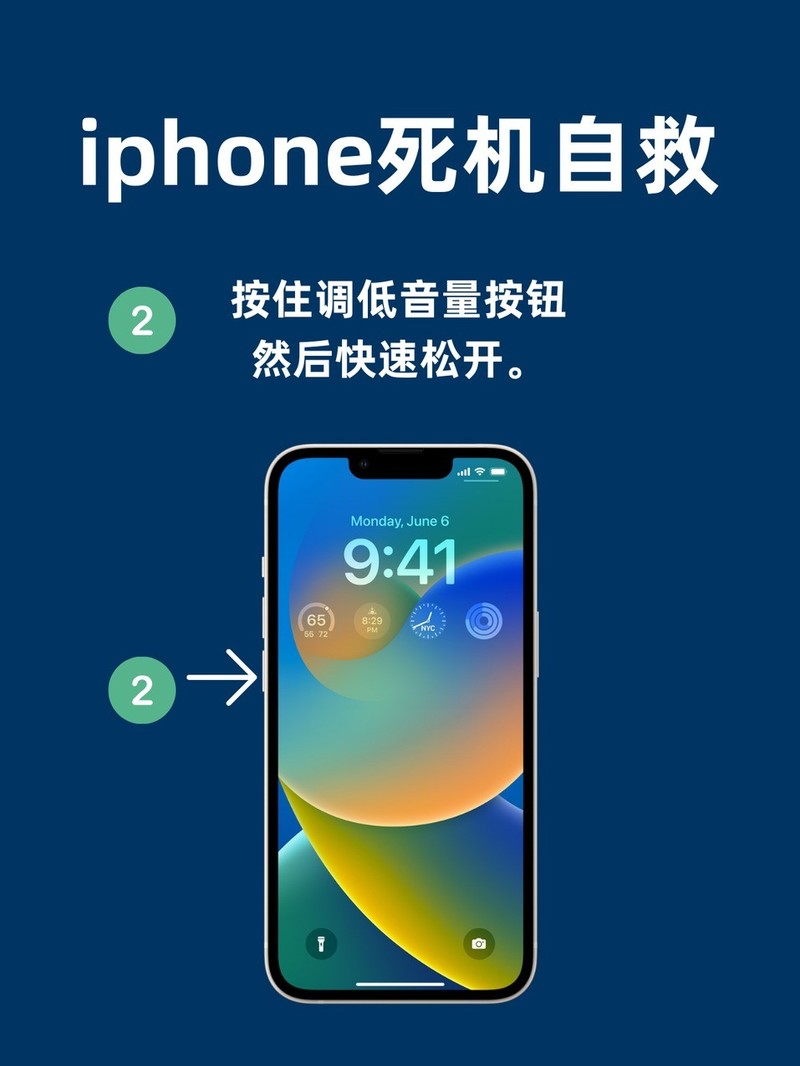 APP