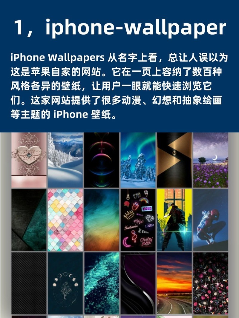 APP