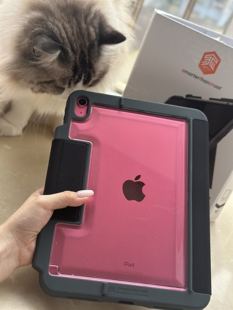 iPad