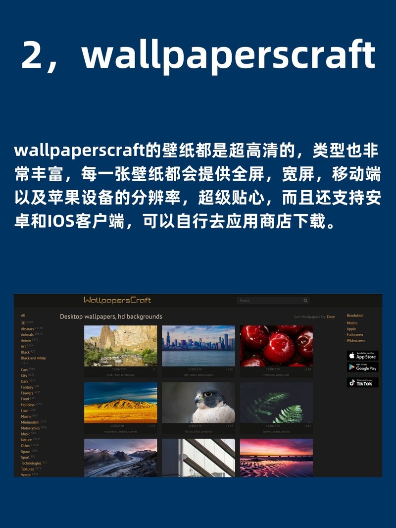 APP