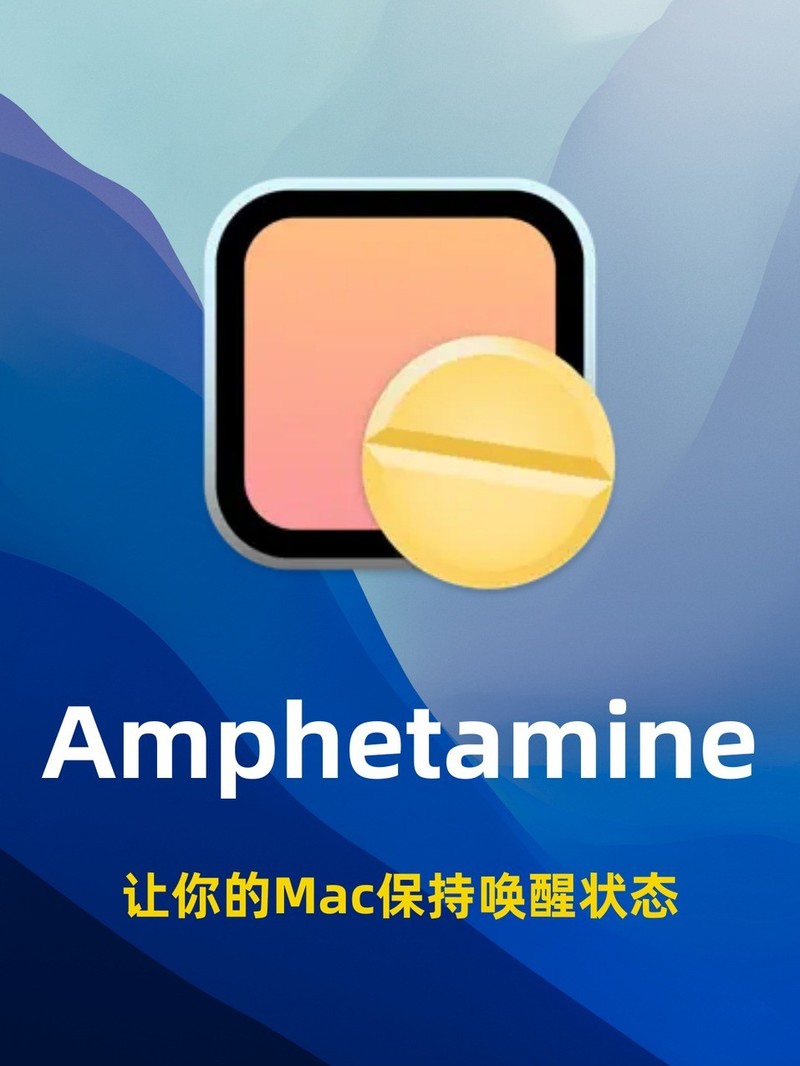 APP