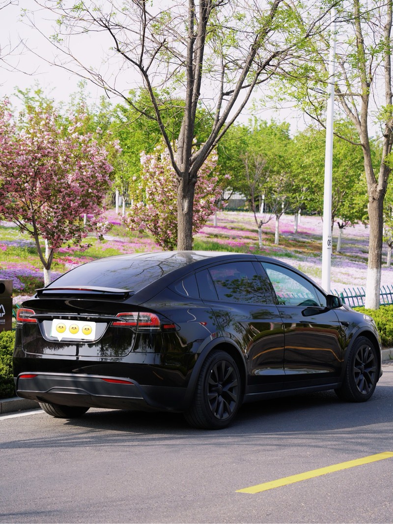 ��˹��Model X