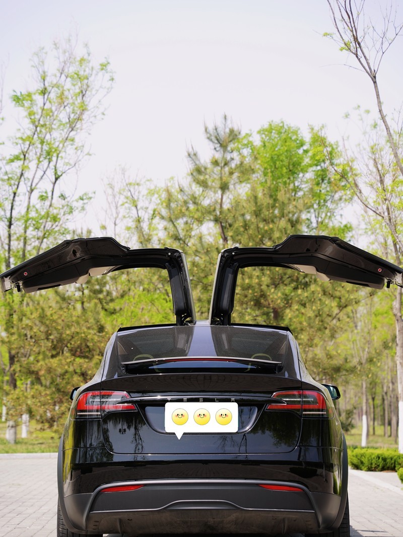 ��˹��Model X