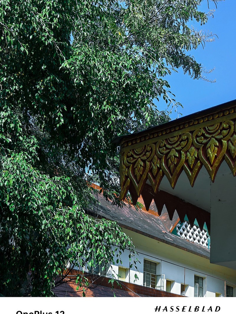 ����һ��12ȥ�����Լ���һ�����������