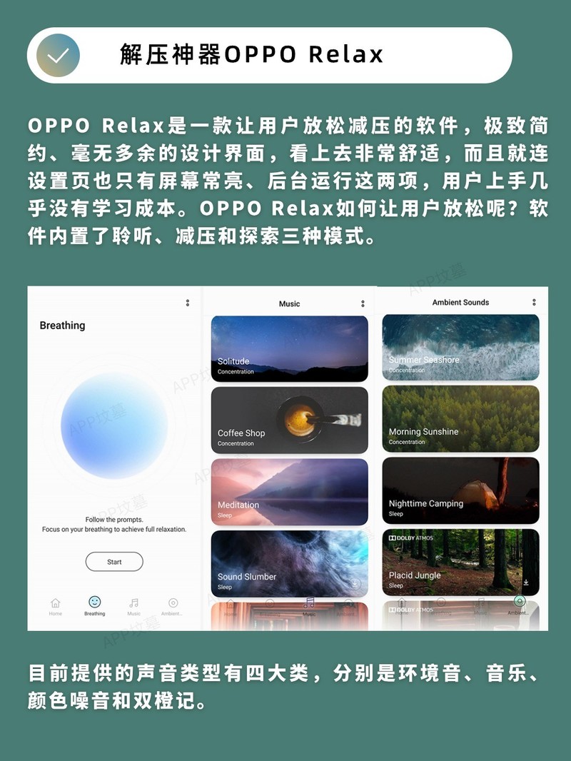 APP�Ƽ�