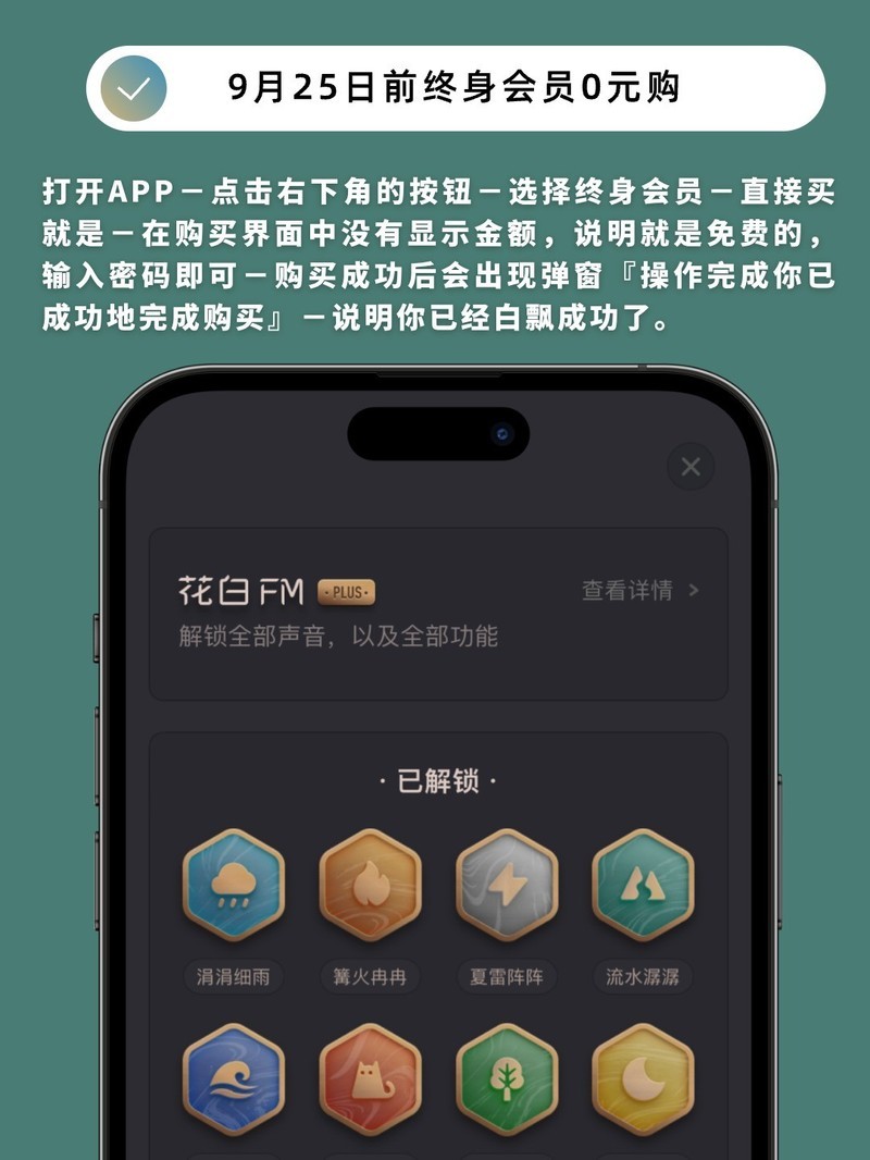 APP�Ƽ�