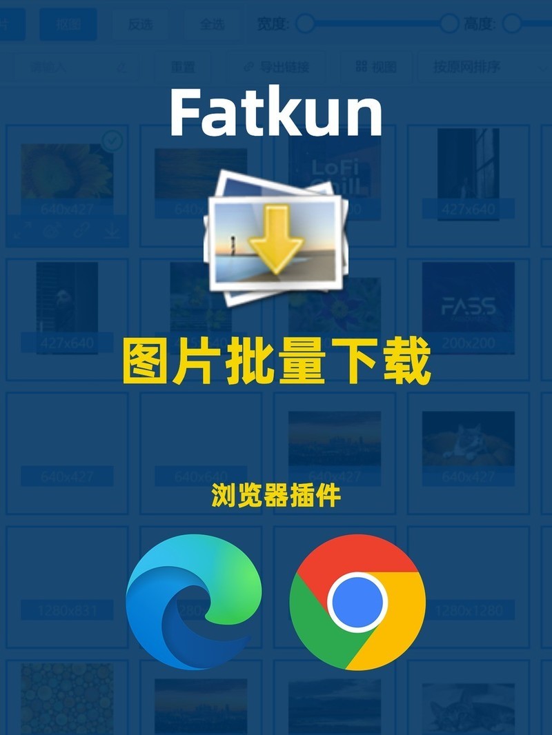 APP