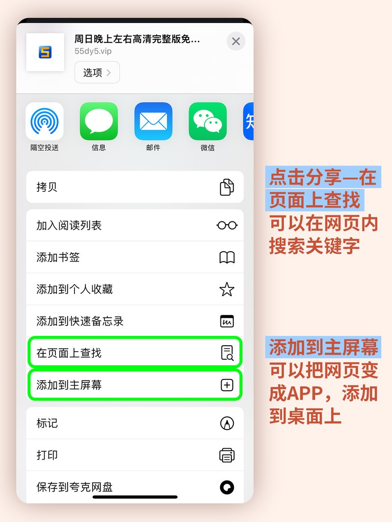 APP�Ƽ�