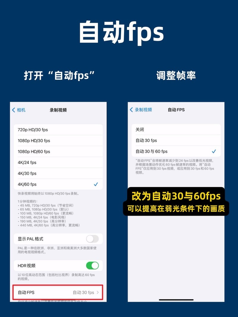 APP