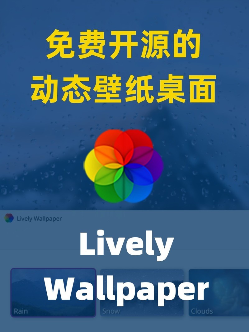 APP