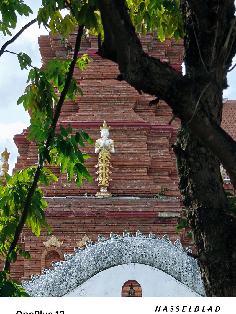 ����һ��12ȥ�����Լ���һ�����������