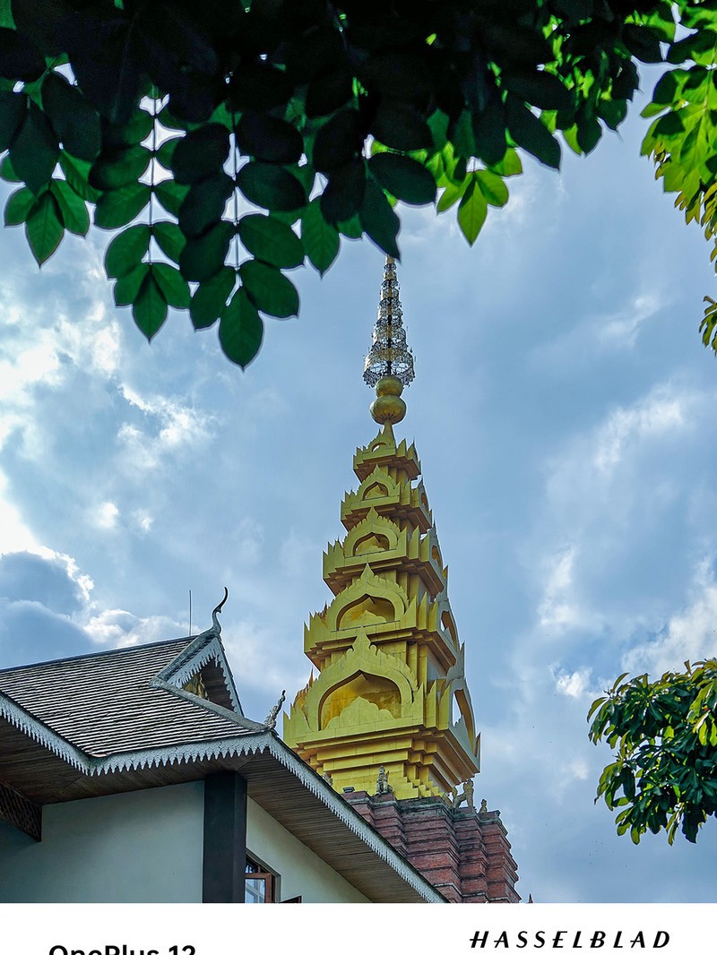 ����һ��12ȥ�����Լ���һ�����������