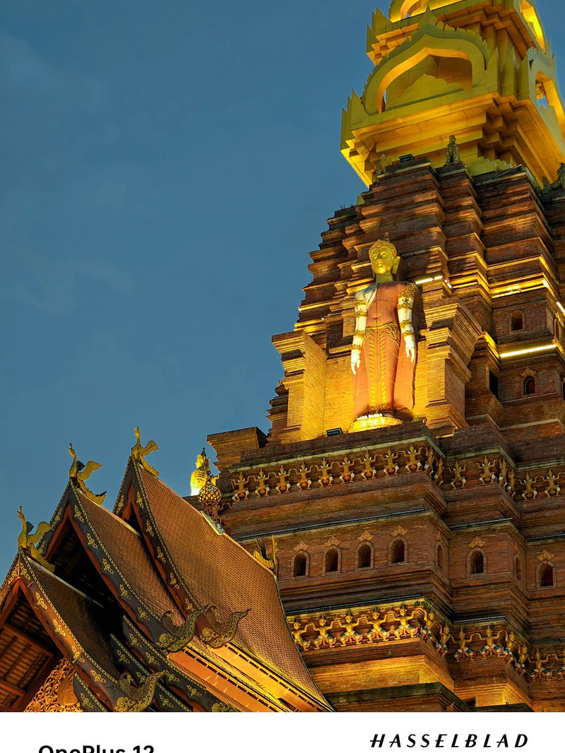����һ��12ȥ�����Լ���һ�����������