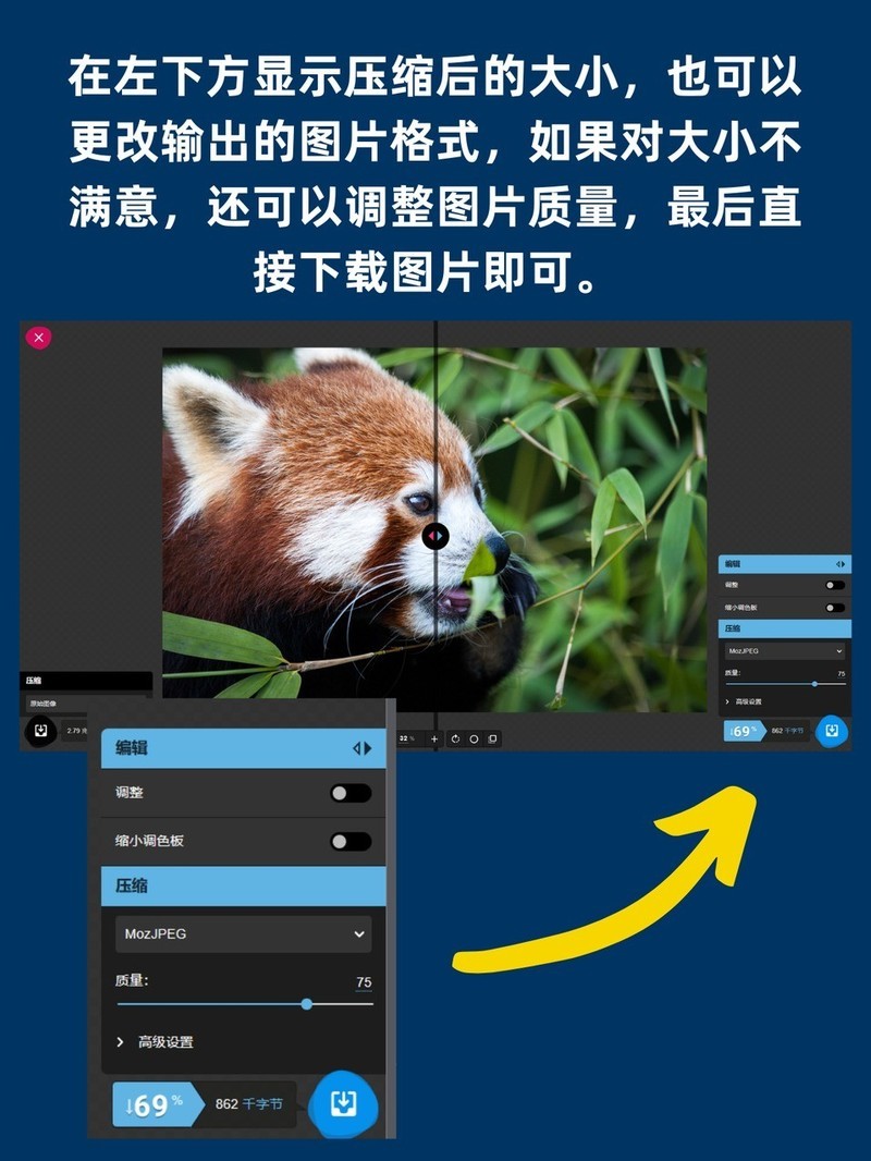 APP