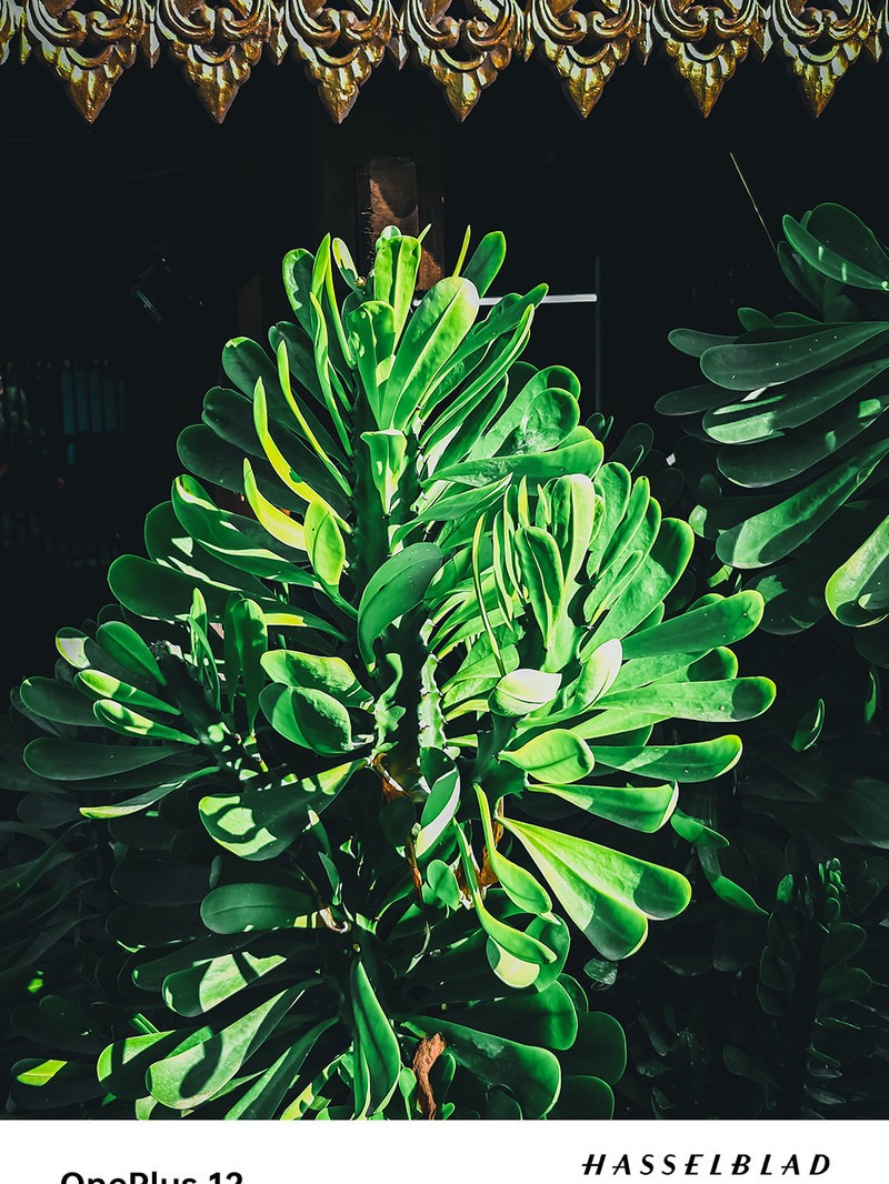 ����һ��12ȥ�����Լ���һ�����������