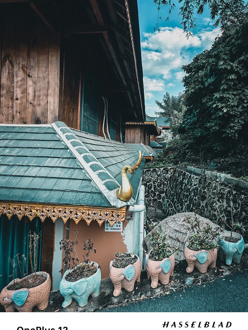 ����һ��12ȥ�����Լ���һ�����������