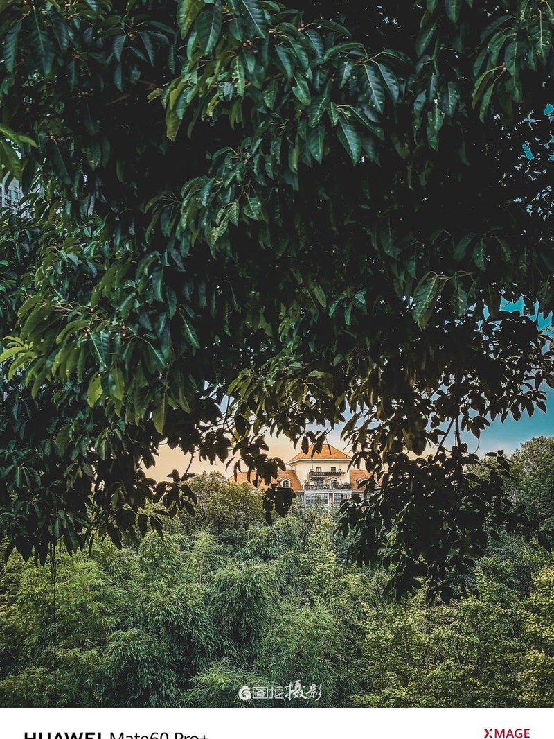 ���ֻ��������ߵ���