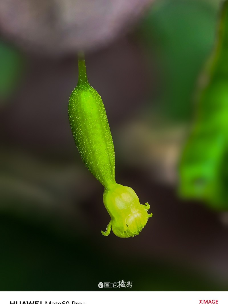 ���ֻ��������ߵ���