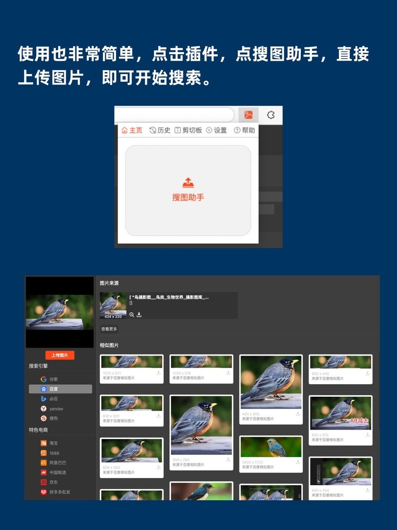 APP