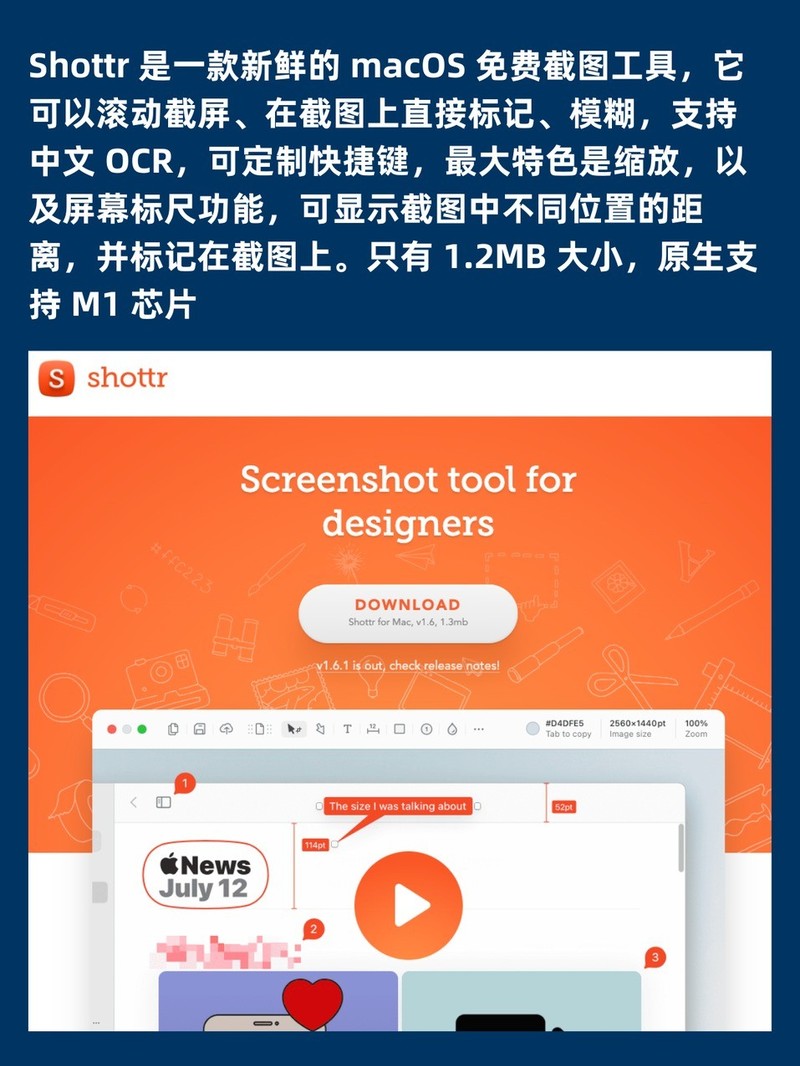 APP