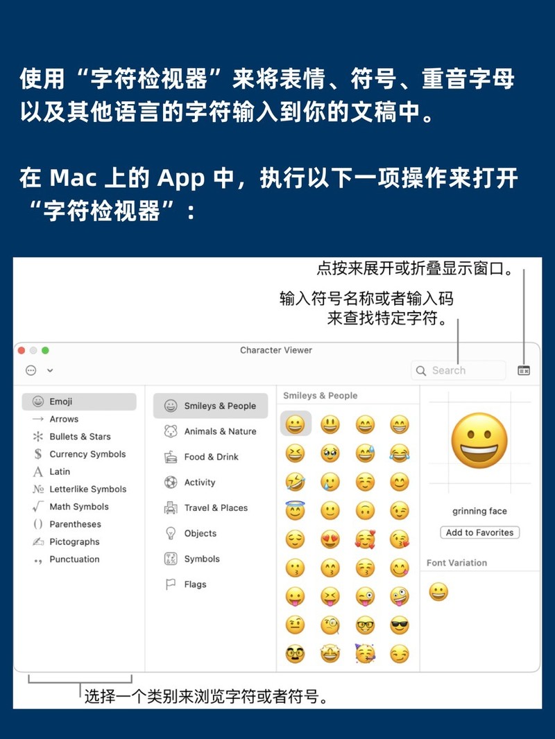 APP