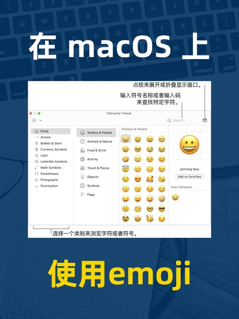 APP