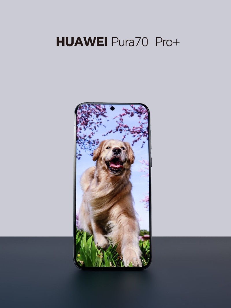 ��ΪPura70