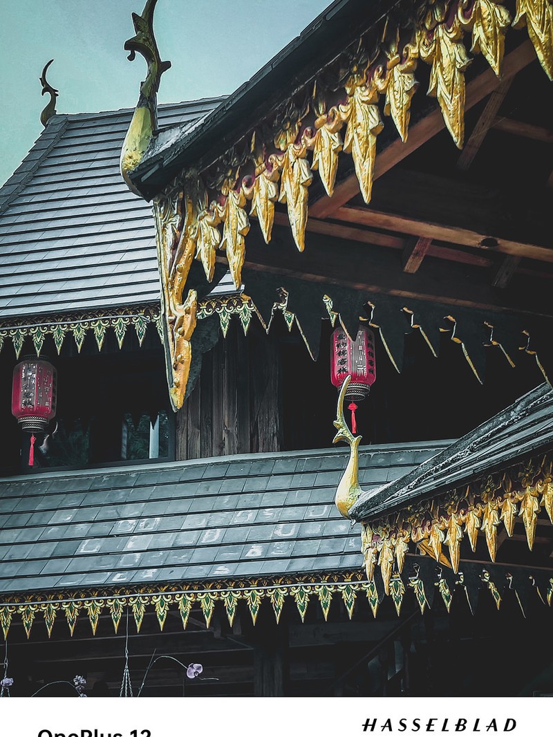 ����һ��12ȥ�����Լ���һ�����������