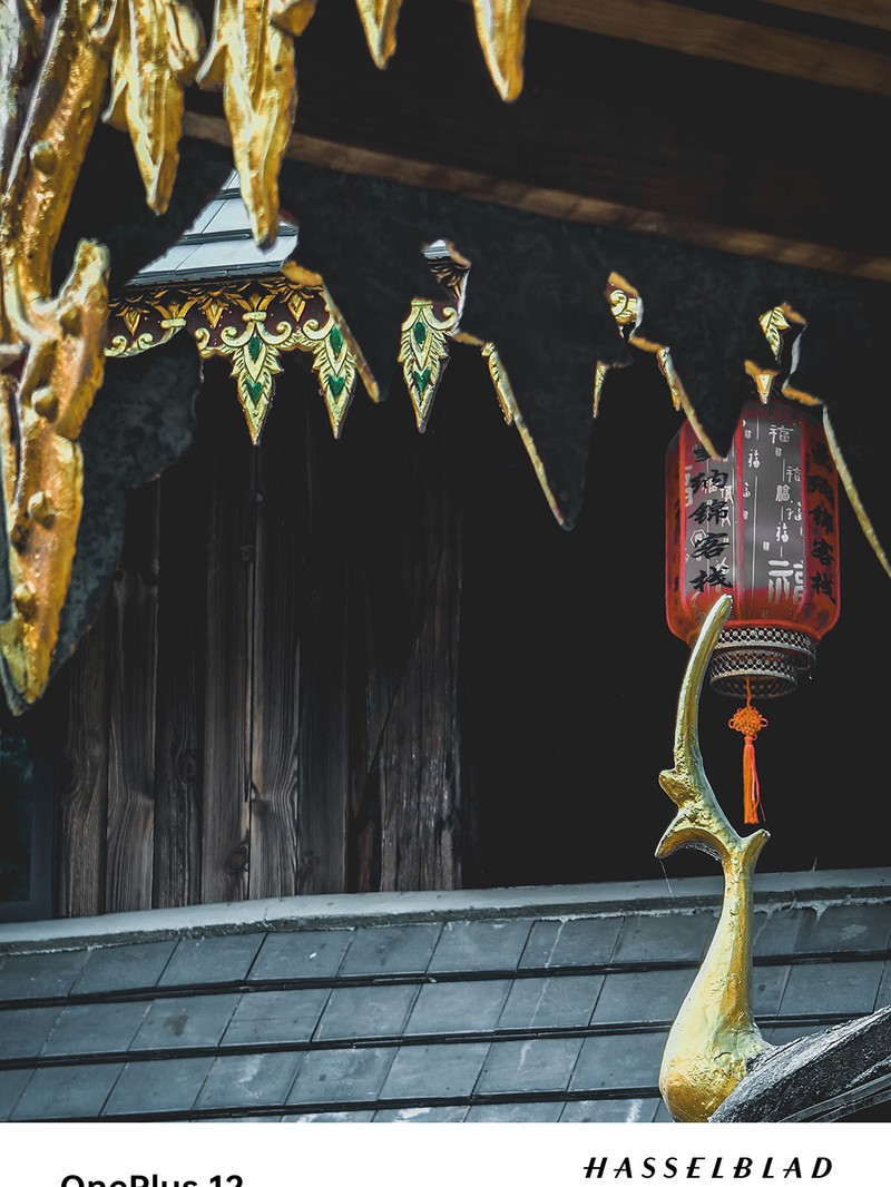 ����һ��12ȥ�����Լ���һ�����������