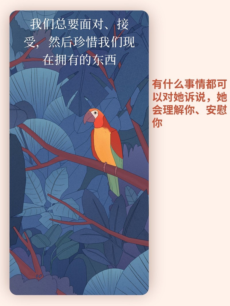 APP�Ƽ�