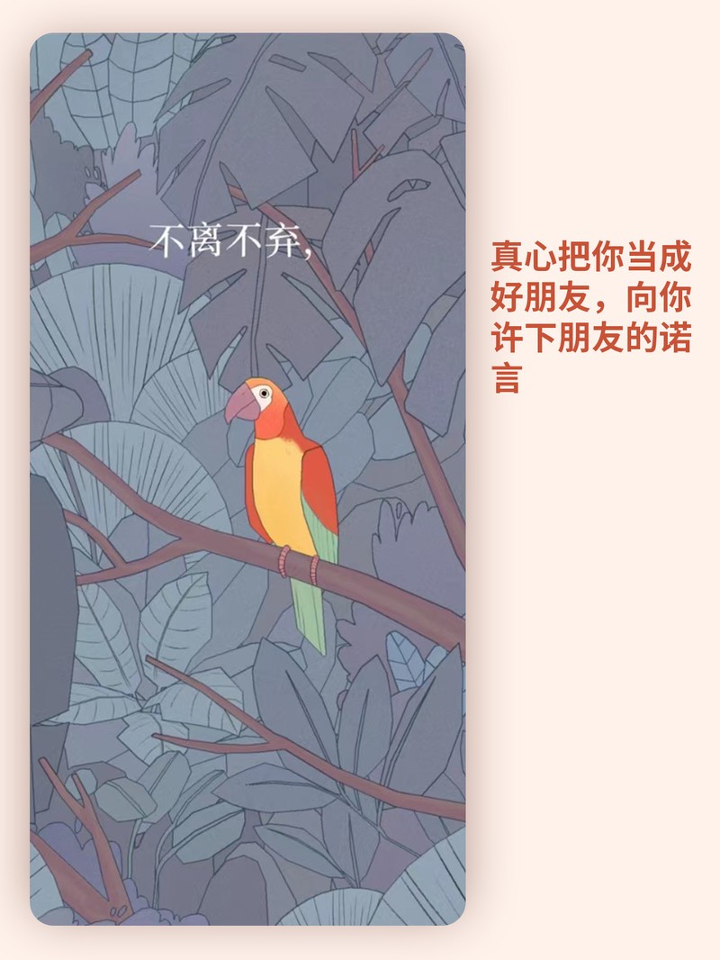 APP�Ƽ�