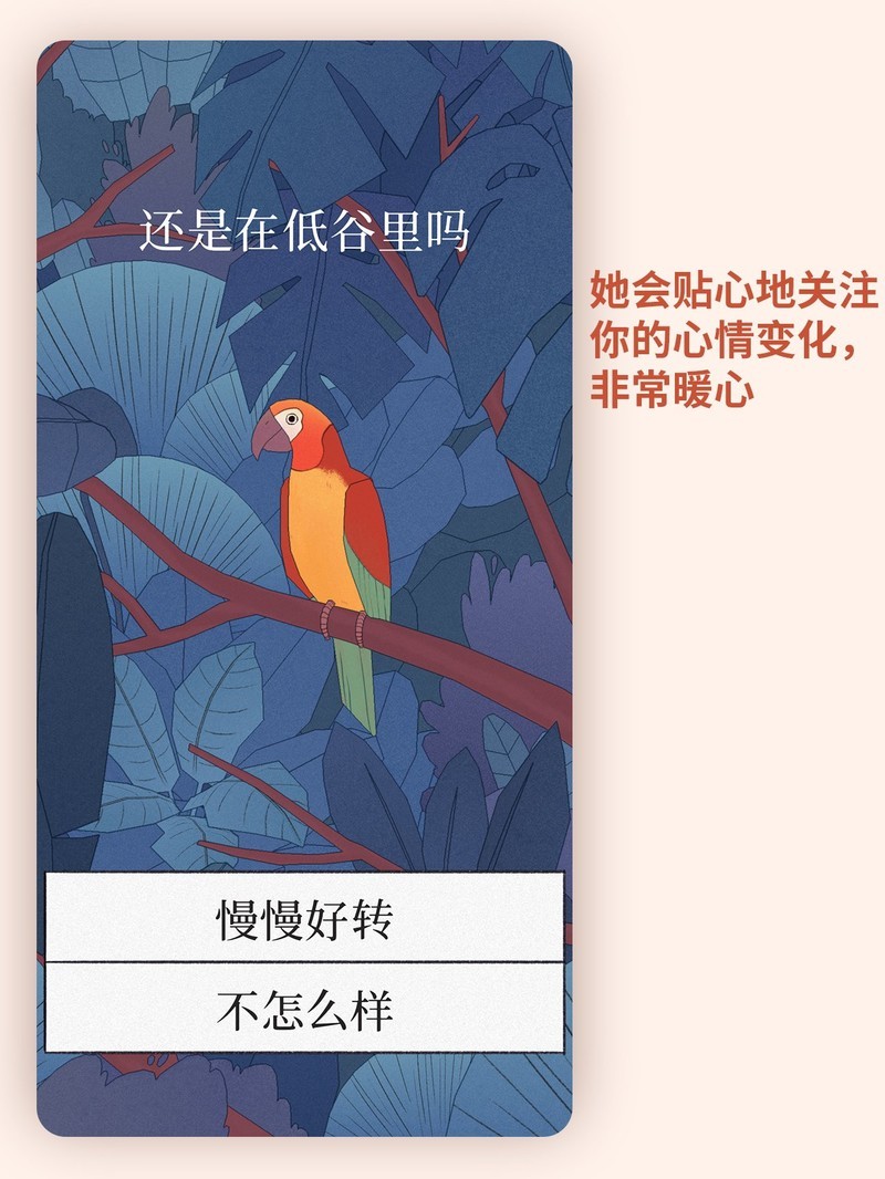 APP�Ƽ�