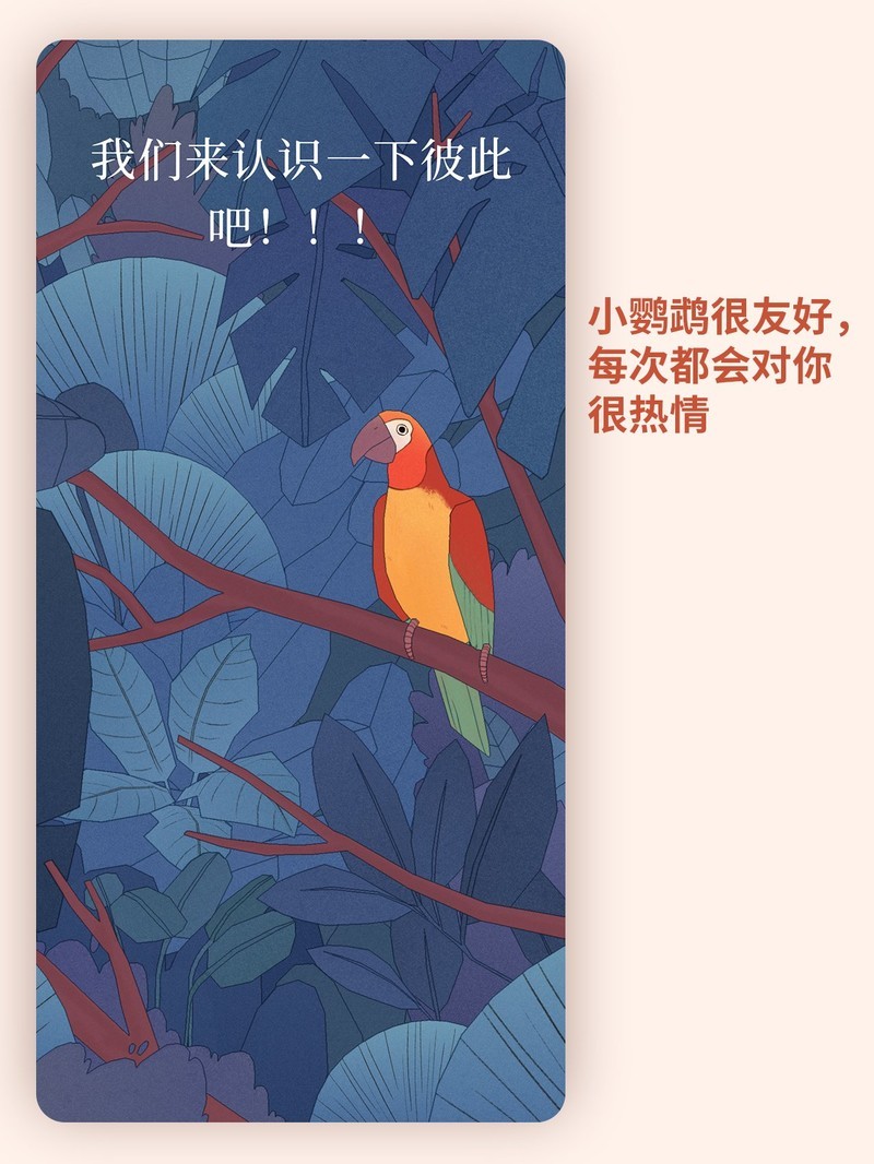 APP�Ƽ�