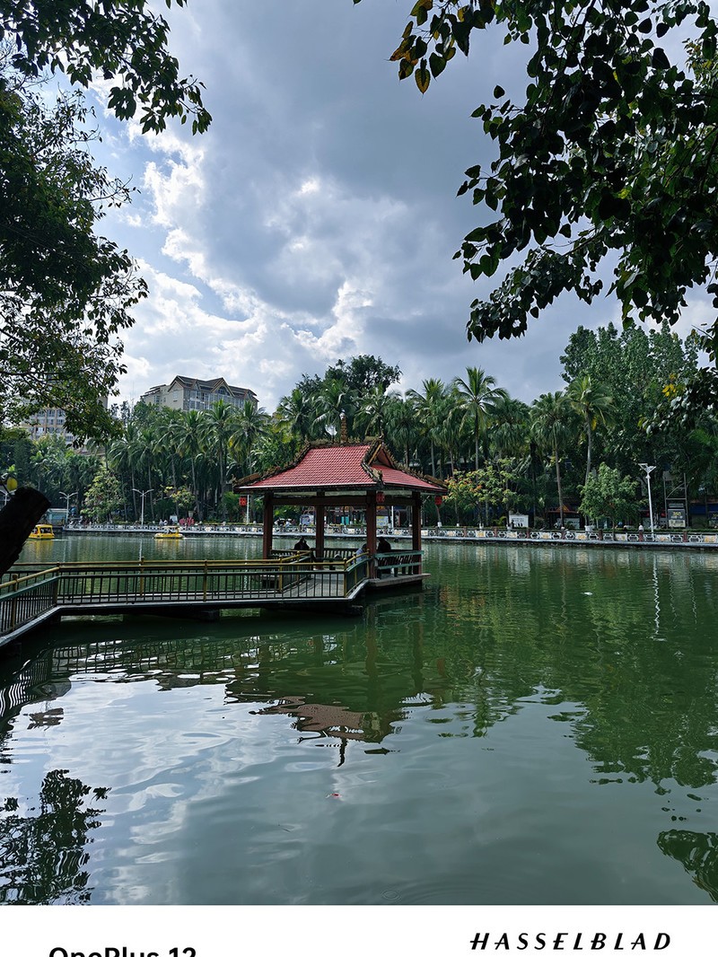 ����һ��12ȥ�����Լ���һ�����������