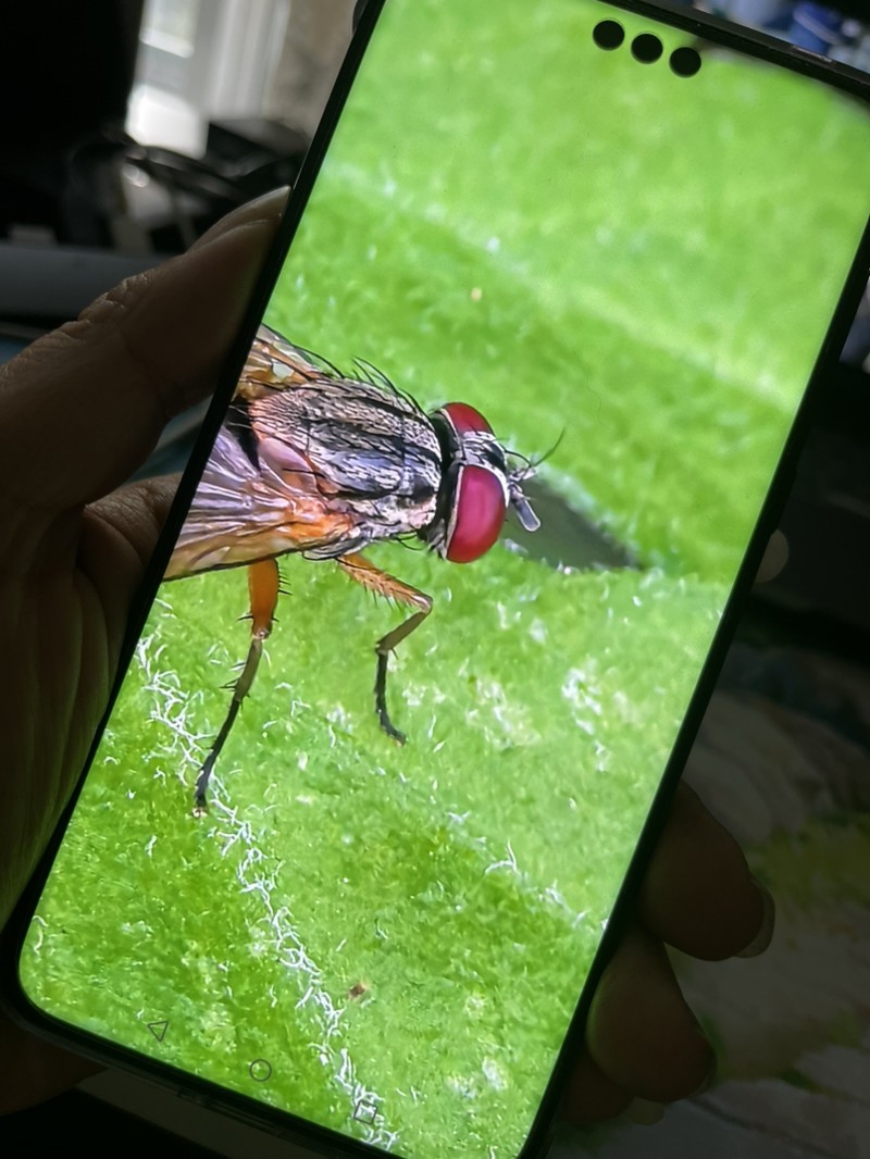 ���ֻ��������ߵ���
