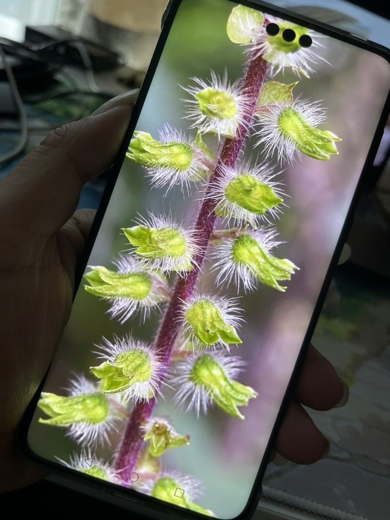 ���ֻ��������ߵ���