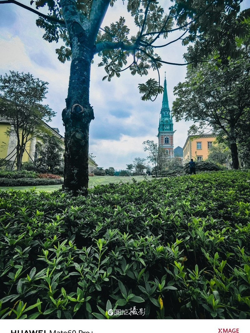 ��ΪMate 60
