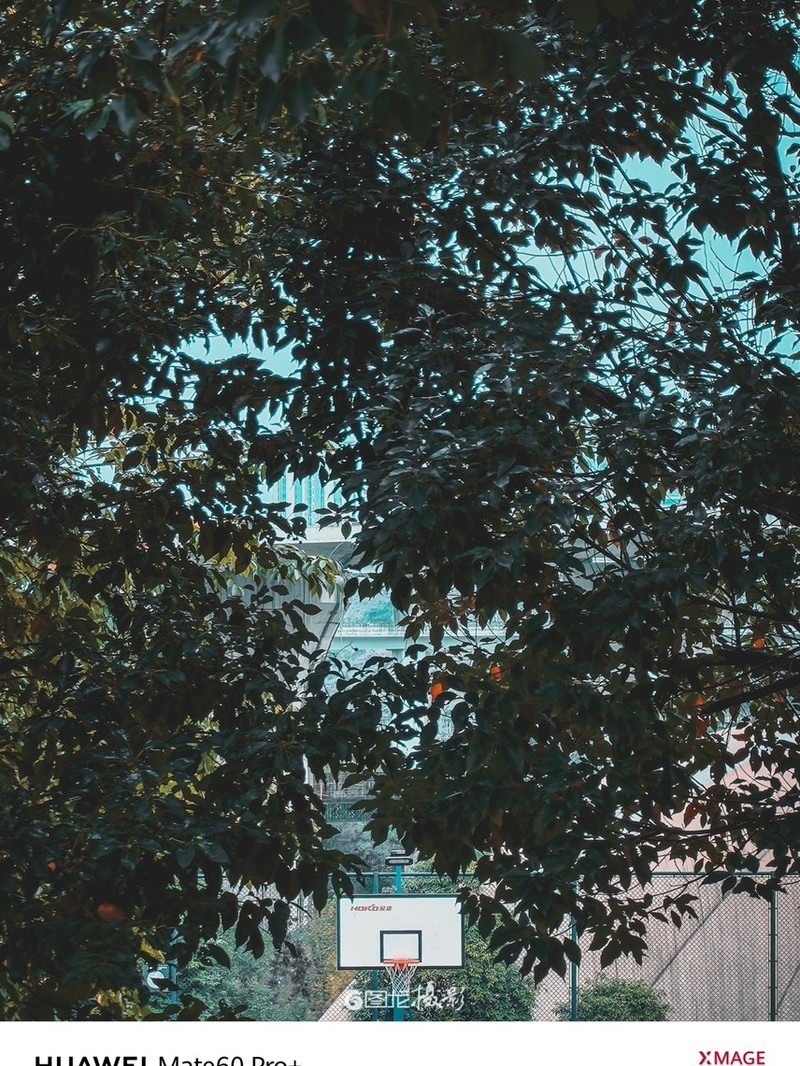 ���ֻ��������ߵ���