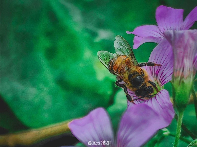 ���ֻ��������ߵ���