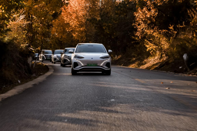 BYD