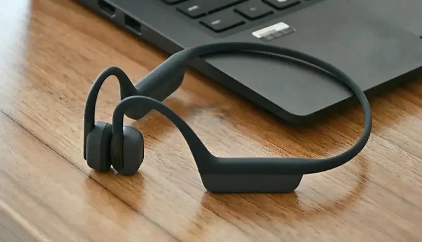 ����ʽ��������