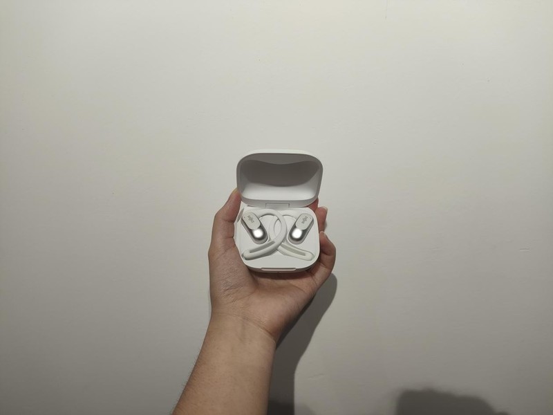����ʽ��������