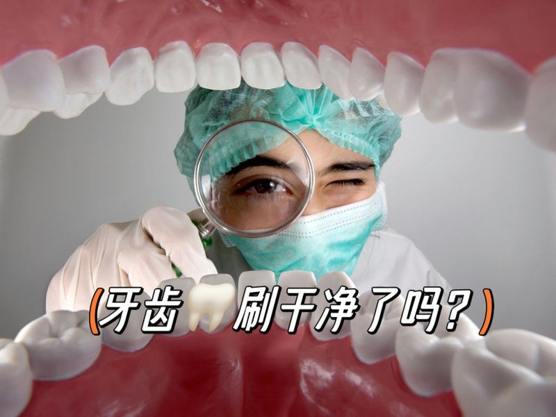 �綯��ˢ